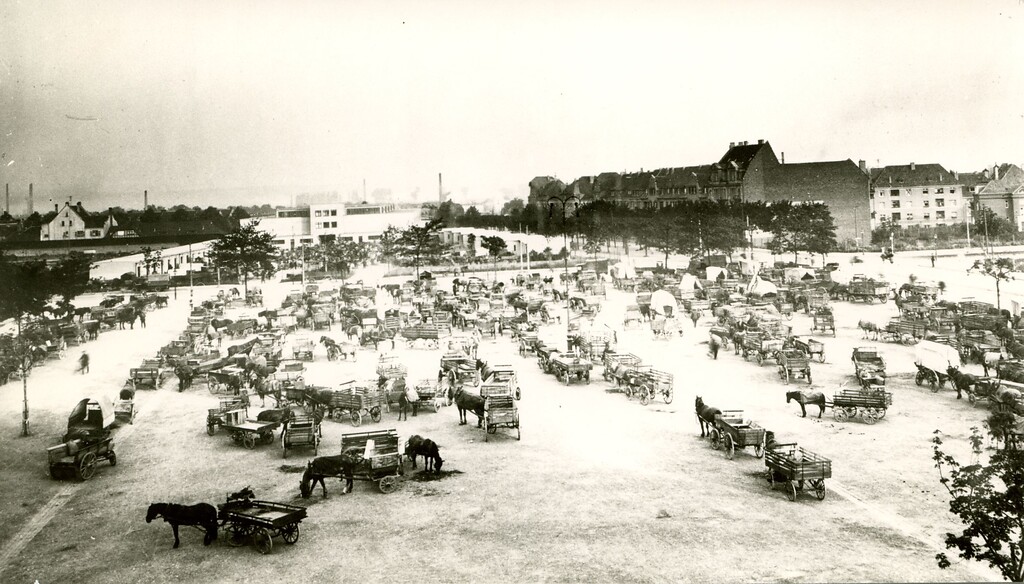 Pferdefuhrwerke auf dem Bonner Frankenbadplatz (um 1927), im Hintergrund die damals neue Großmarkthalle
