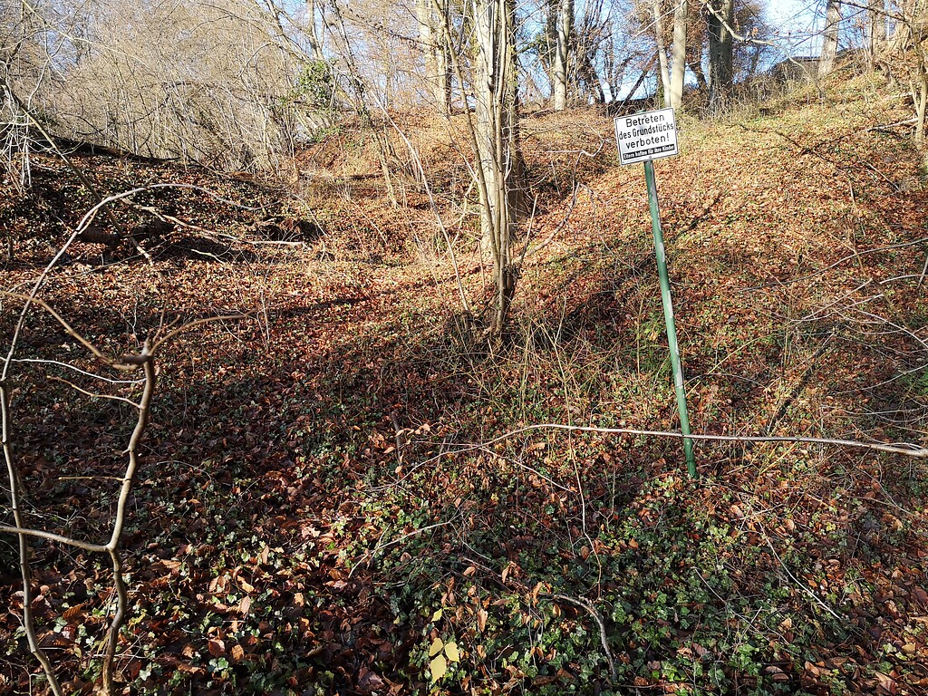 Naturdenkmal "Steinkaule" nordwestlich Herrenstrunden (2019)