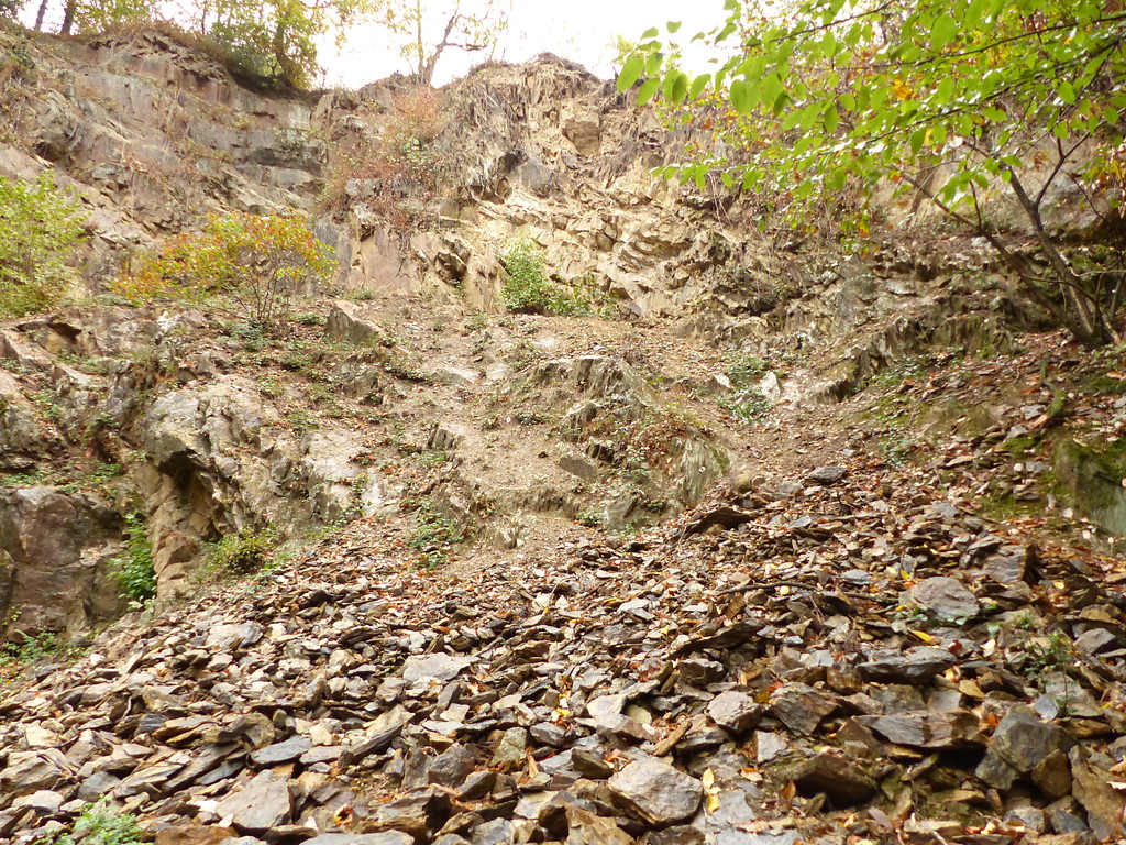 Blick auf Hangschutt im Steinbruch bei Wietsche im Murbachtal (2018)