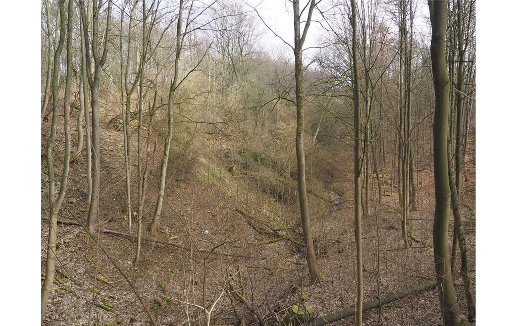 Die Halden des Steinbruchs Velbert-Hefel (links) haben die Aue des davor verlaufenden Hefeler Bachs zur Hälfte verschüttet (2021).