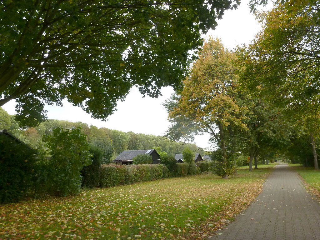 Kleingartenanlage in der Westhovener Aue (2014)