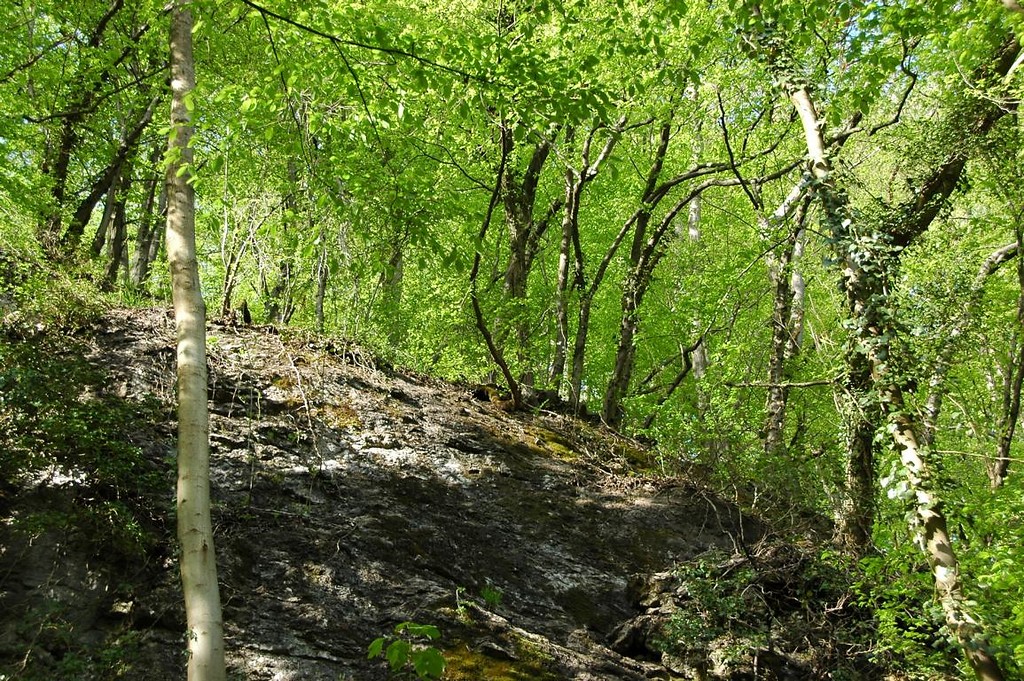 Kalkhaltiges Gestein im Naturschutzgebiet Weinberg (2008)