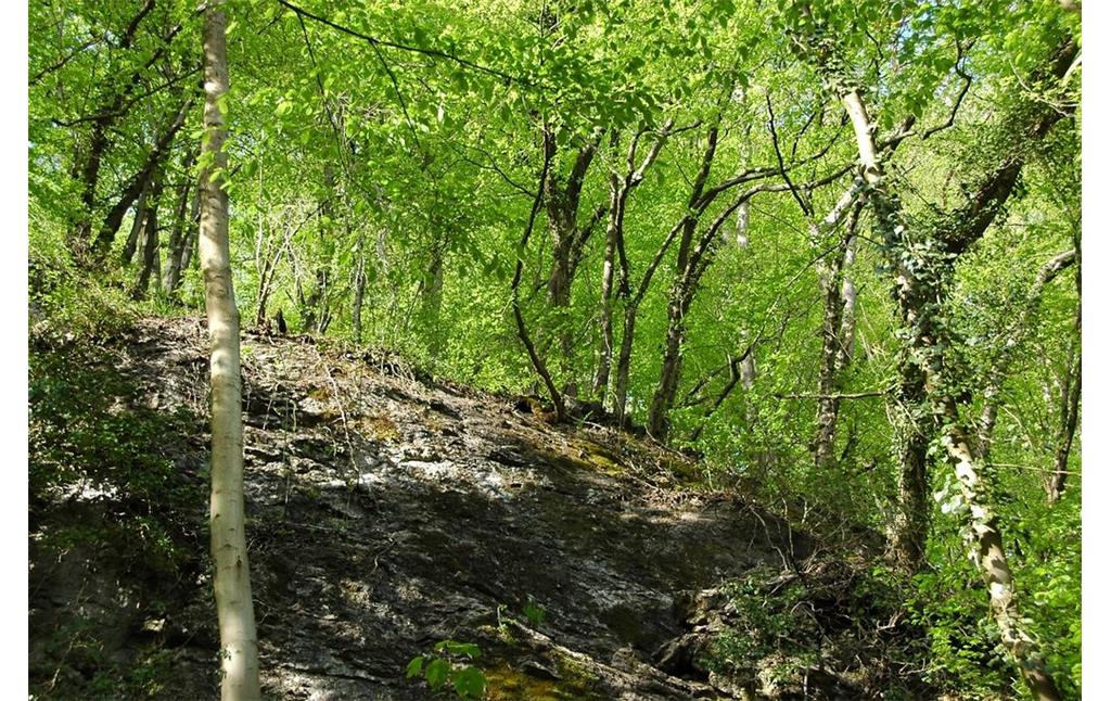 Kalkhaltiges Gestein im Naturschutzgebiet Weinberg (2008)