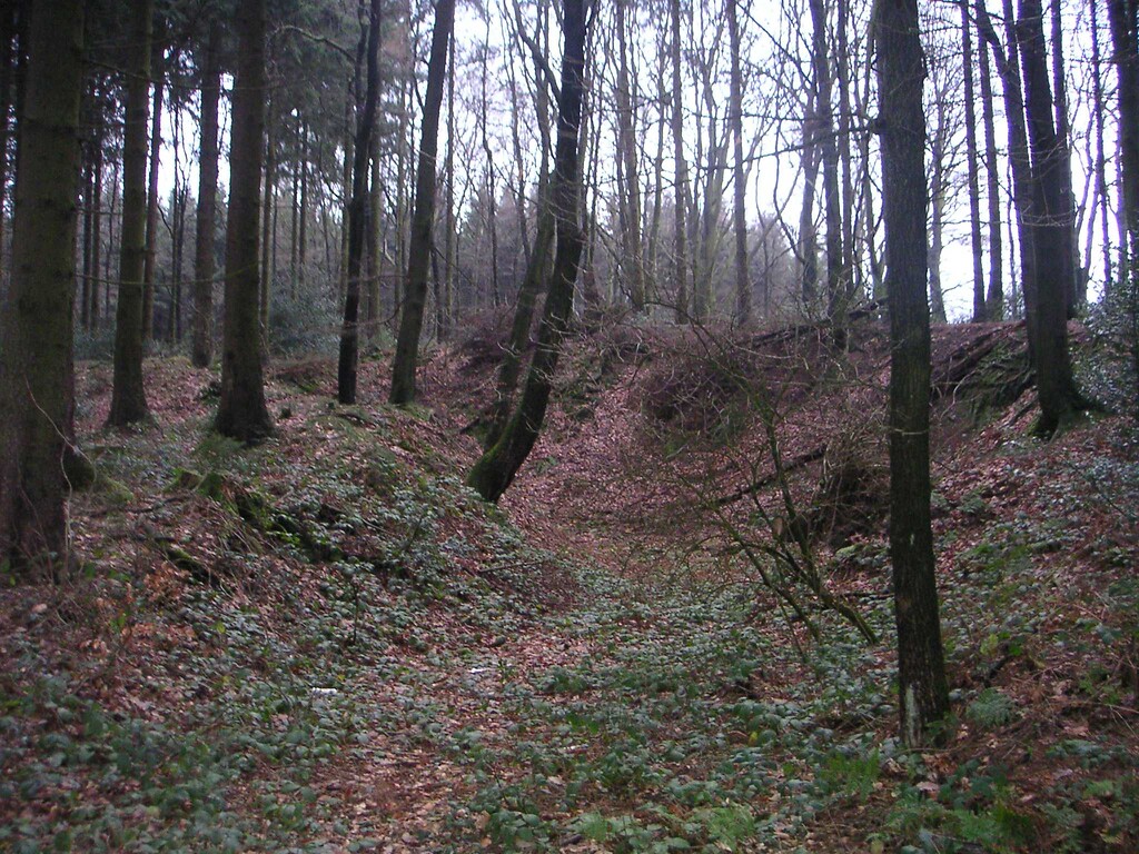 Steinbruch zwischen Finkensiepen und Schmittensiepen im Wald  (2008)
