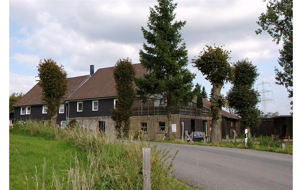 Hofstelle mit Schneitelbäumen in Großenscheidt (2008)