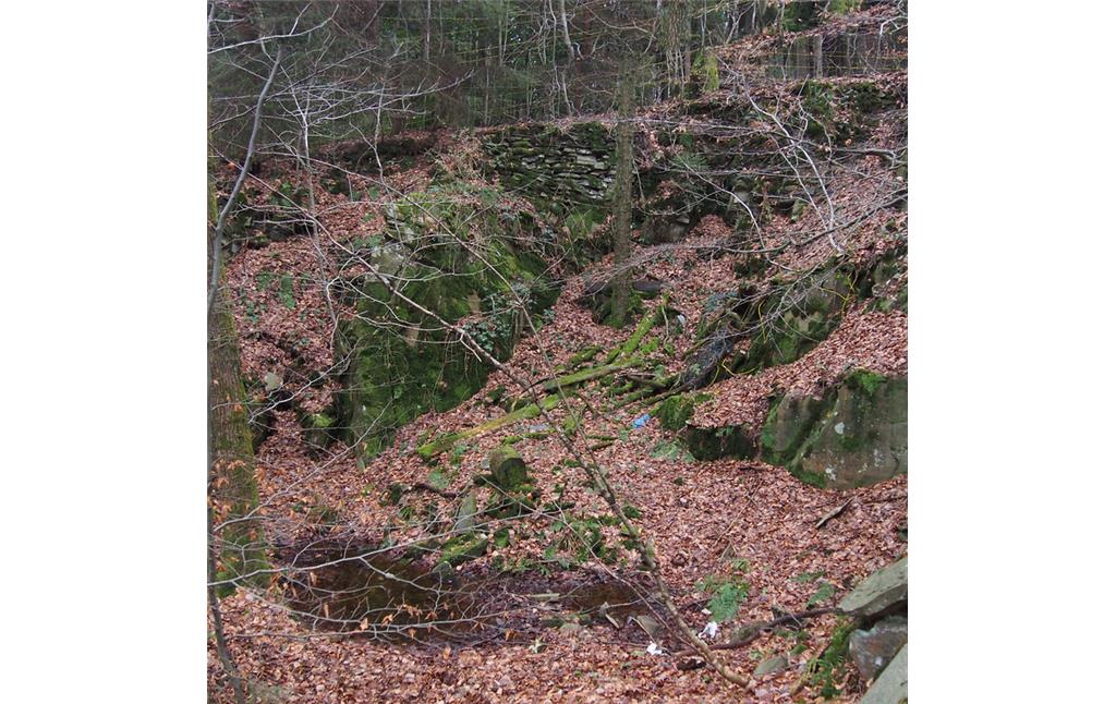 Kleiner Abbau des Bruchs Felsenthal Ost 7 mit Staunässe. Der obere Bruchrand wird durch eine Trockenmauer gesichert. (2018)