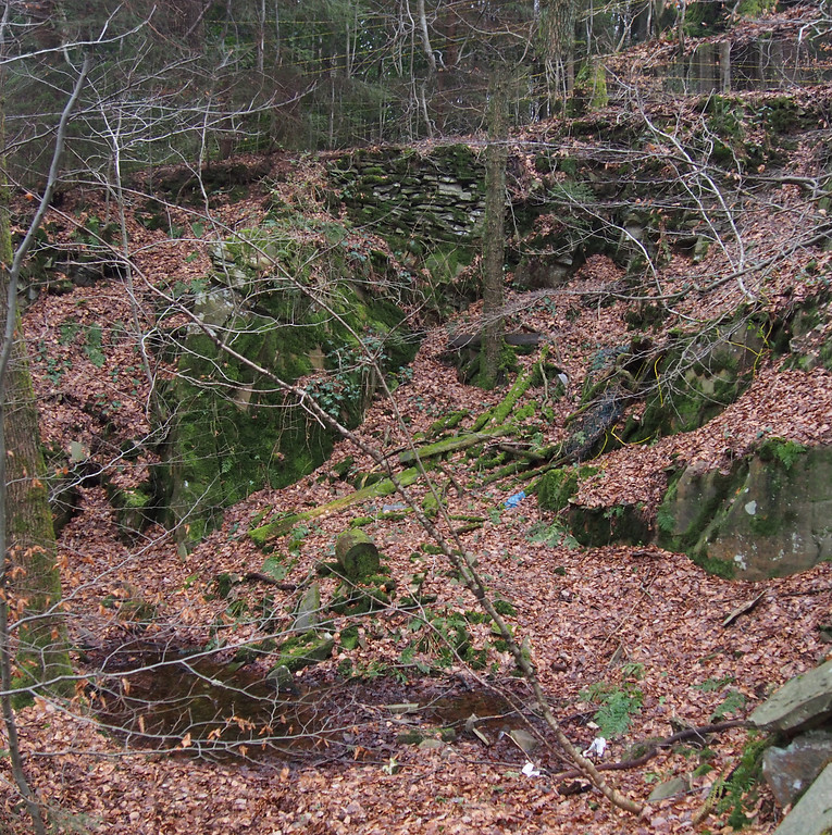 Kleiner Abbau des Bruchs Felsenthal Ost 7 mit Staunässe. Der obere Bruchrand wird durch eine Trockenmauer gesichert. (2018)