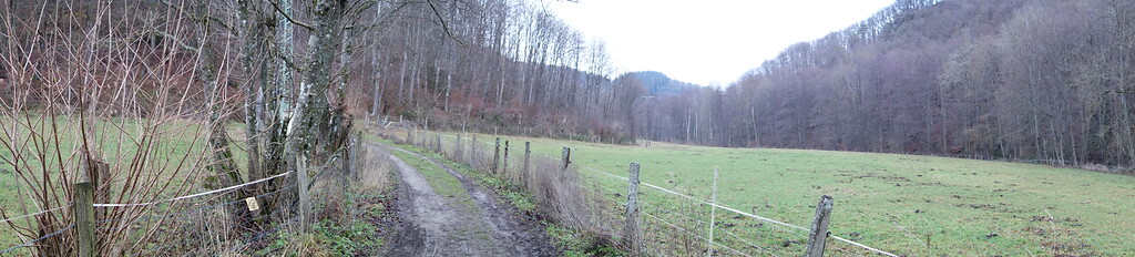 Unterhalb der Mestrenger Mühle ist der Talboden des Kalltals flach mit Grünlandnutzung. Die Kall fließt am rechten Bildrand talabwärts am Wald entlang (2020).