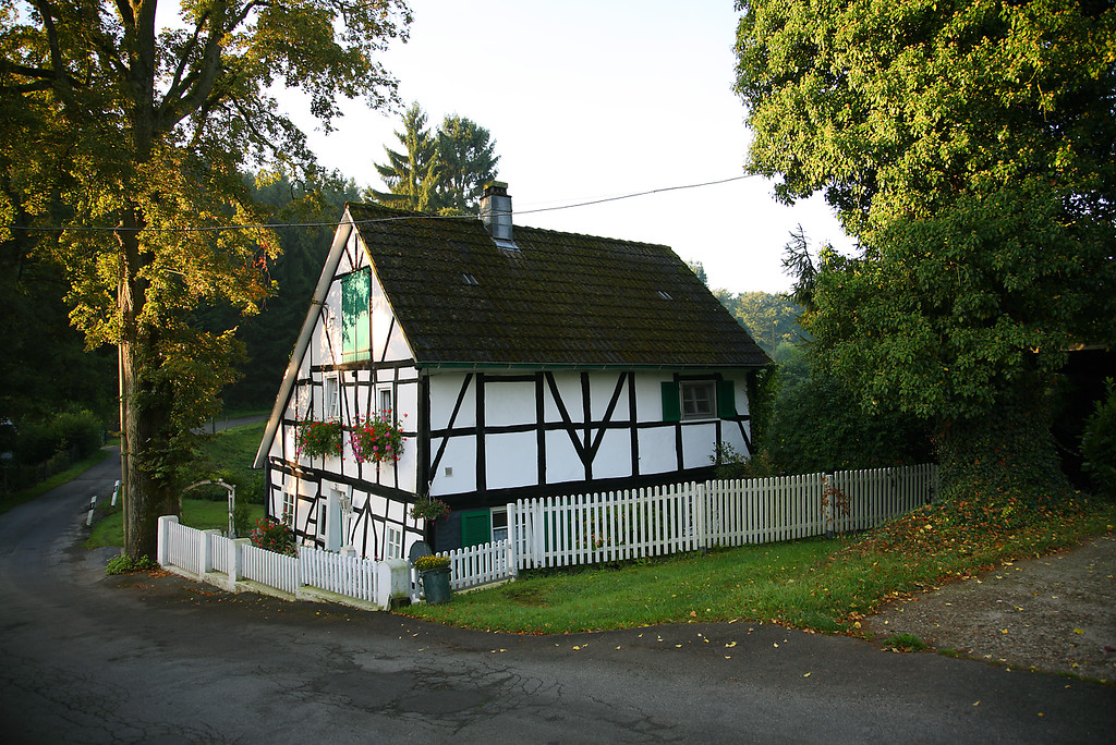 Fachwerkgebäude mit Hausbaum in Kaffekanne (2008)