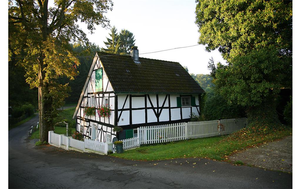 Fachwerkgebäude mit Hausbaum in Kaffekanne (2008)