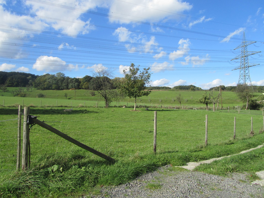 Landwirtschaftliche Nutzfläche bei Burg Ramelshoven (2014)