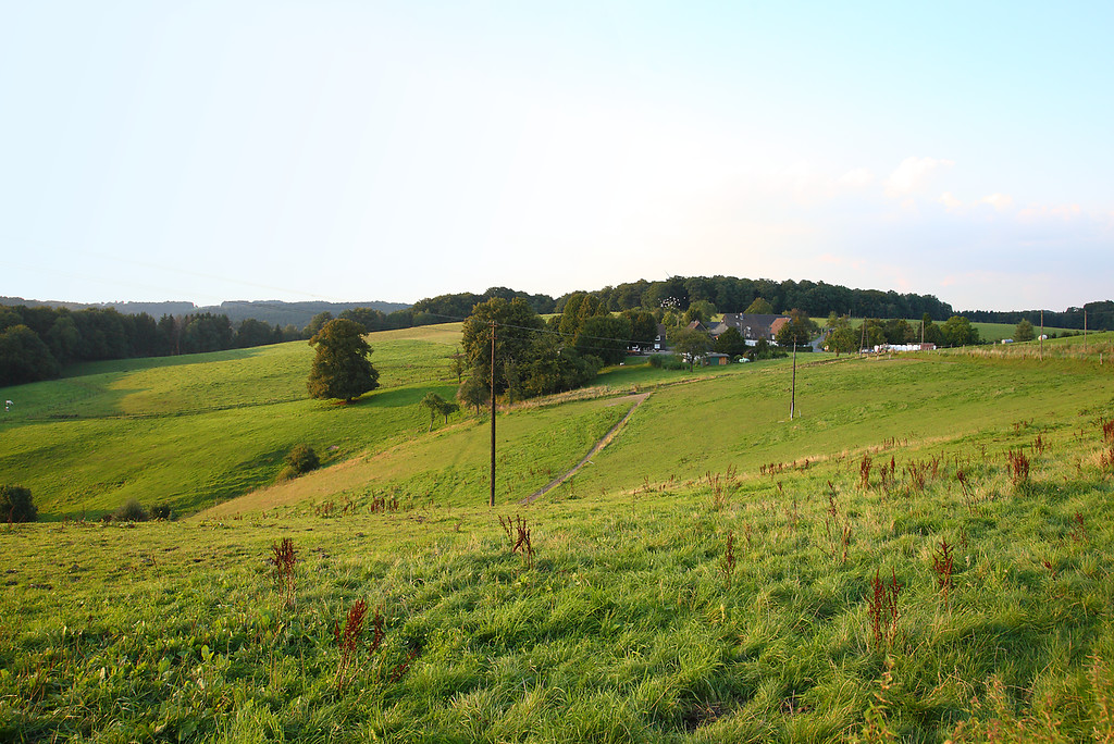 Blick auf Oberburghof von Süden (2008)