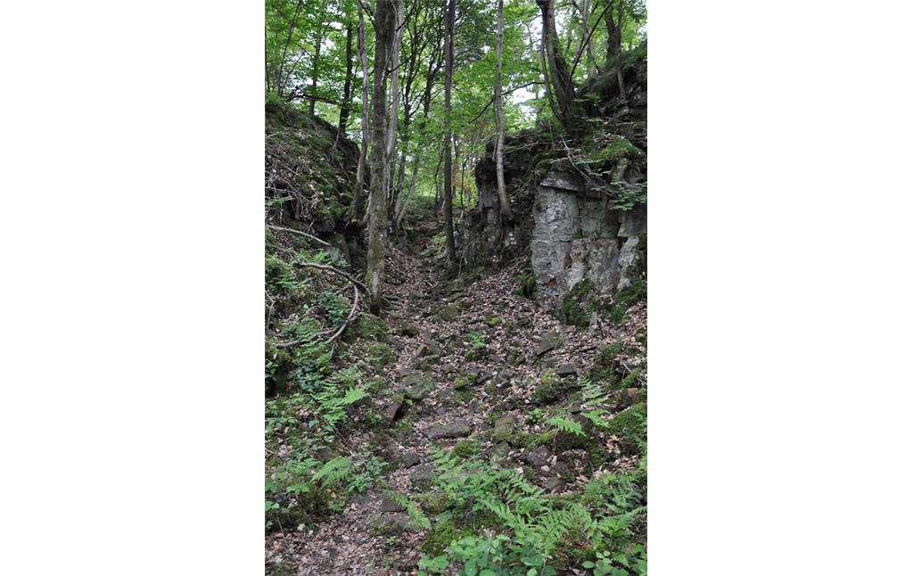 Zeugnisse der früheren Abbautätigkeit im Steinbruch Brungerst, Lindlar (2014)