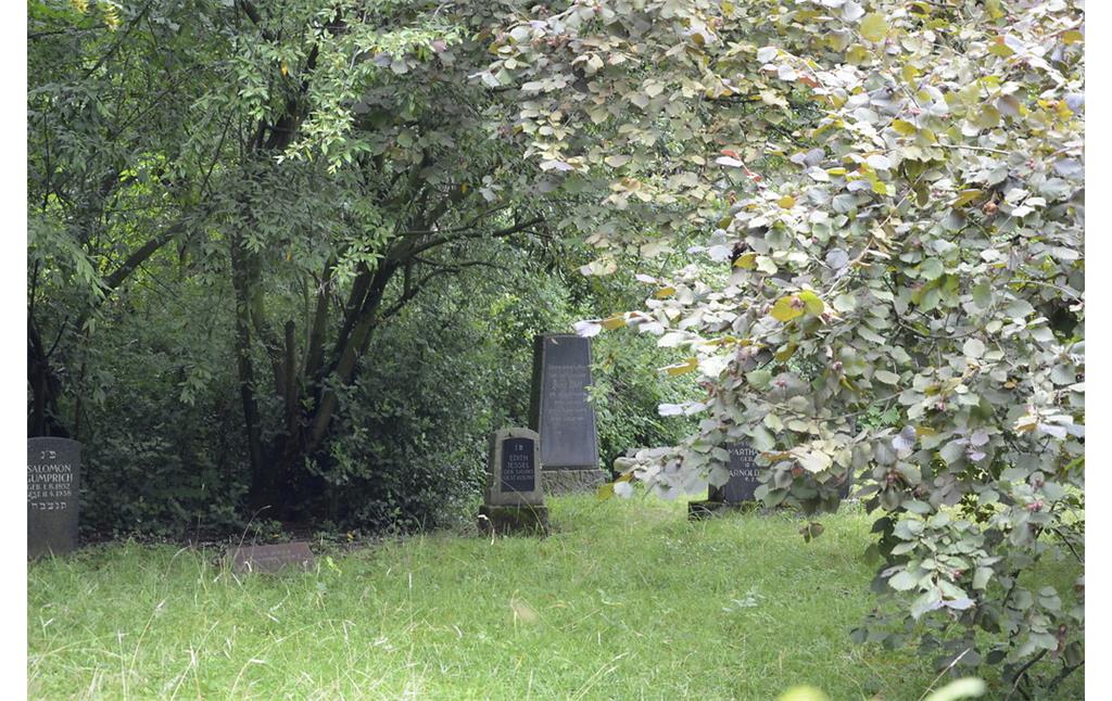 Einige Grabsteine des Jüdischen Friedhofs in Düsseldorf Kaiserswerth (2014). Gut zu erkennen ist auch, wie sehr der Friedhof von Pflanzen zugewachsen ist.