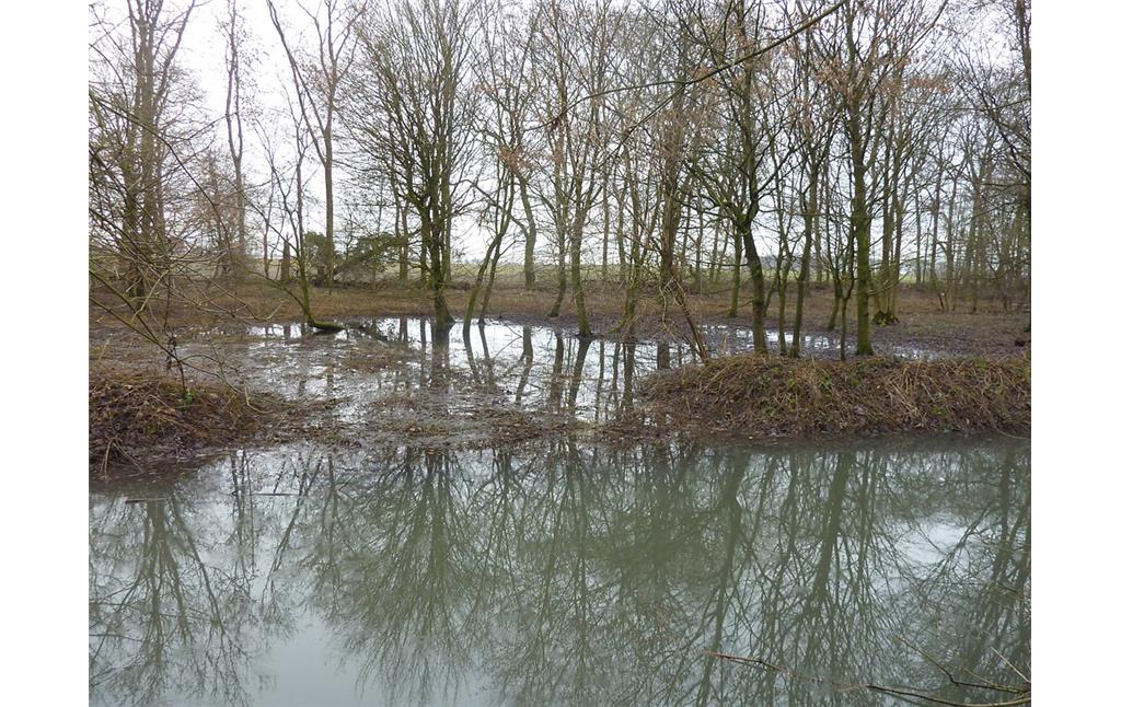 Abbildung 16: Beginnende Auwald-Überflutung in der Großen Lage bei Pegel 108 (2011)