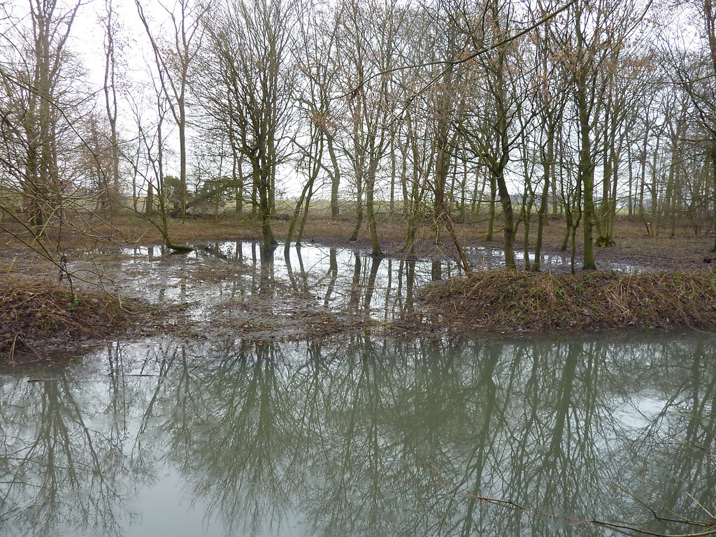 Abbildung 16: Beginnende Auwald-Überflutung in der Großen Lage bei Pegel 108 (2011)