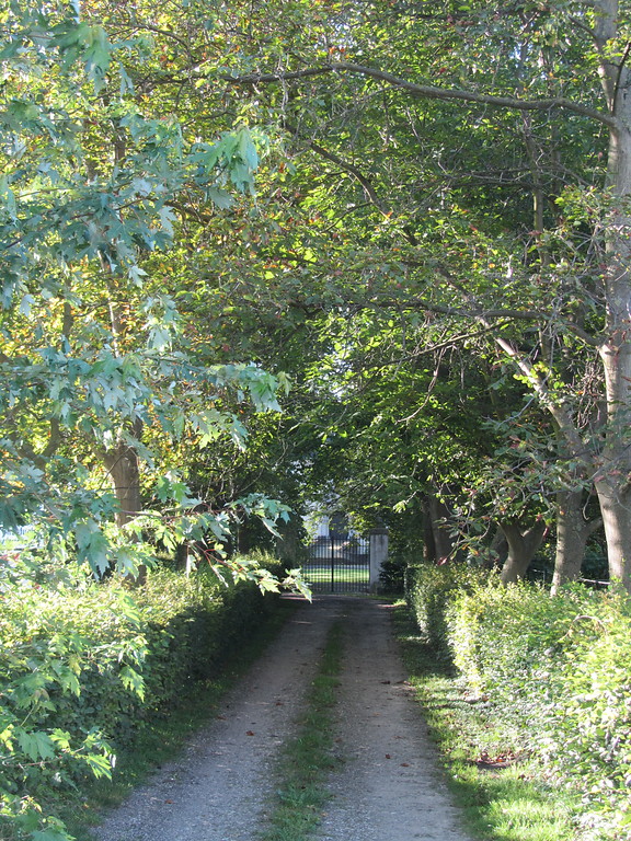 Die Zufahrt zur Schallenburg in Brühl-Schwadorf ist gesäumt von jungen Kastanienbäumen und Hecken (2014).
