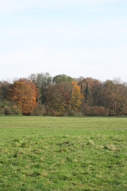 Im Arboretum am Stadtwald (2014)