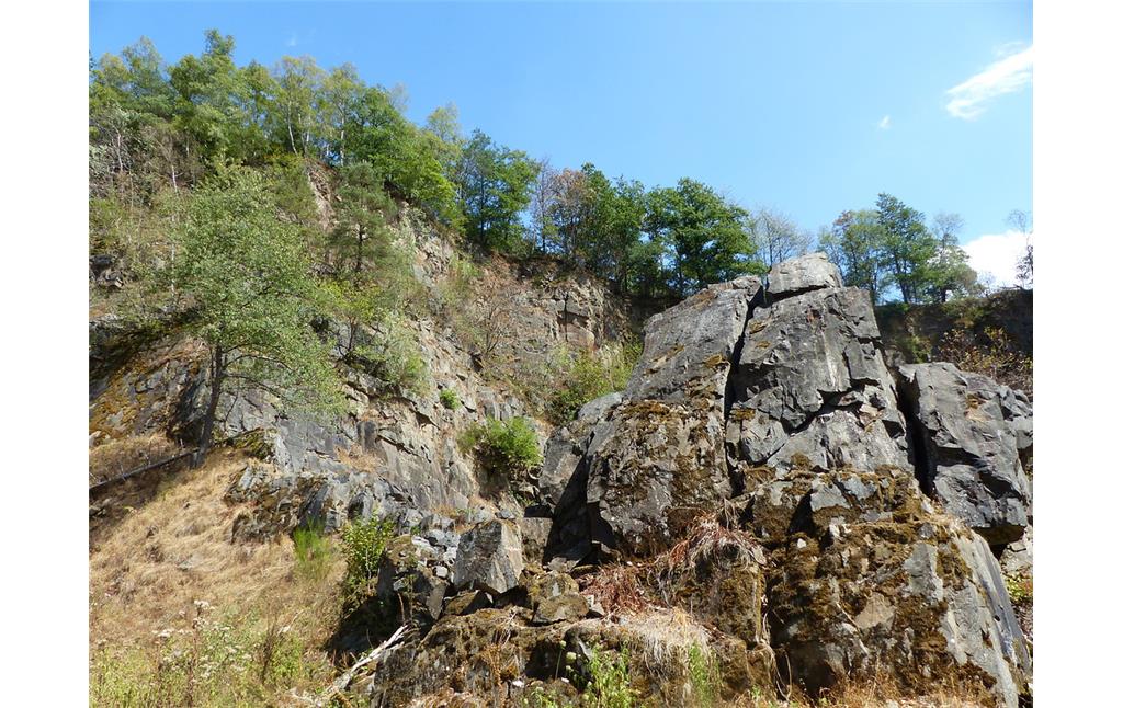 Grauwacke-Felsen im Steinbruch Morkepütz (2018)