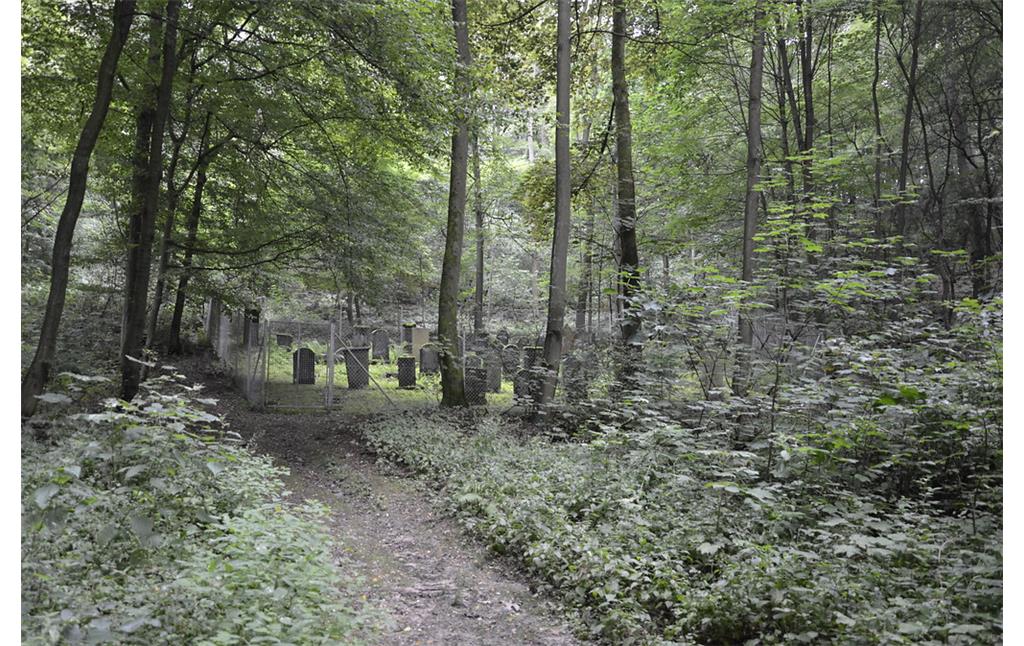 Blick auf den eingezäunten älteren Jüdischen Friedhof am Waldfriedhof in Düsseldorf-Gerresheim (2014).