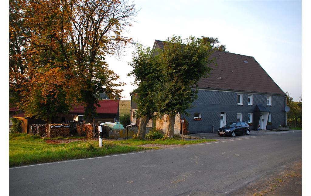 Einzelhof Niederwönkhausen mit Altbäumen (2008)