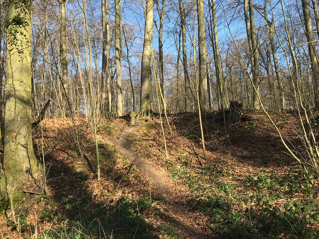 Der Standort des Gedenkkreuzes ist leicht erhöht an den Hängen der Sandabgrabungsstellen im Königsdorfer Wald (2020)