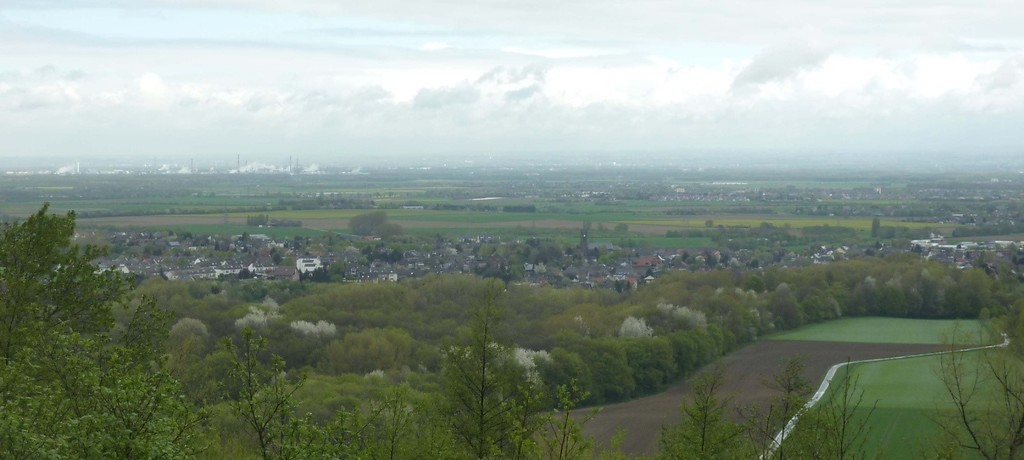 Abbildung 5: Blick über den Wald des Naturschutzgebietes Quellgebiet Glessener Bach (2019)
