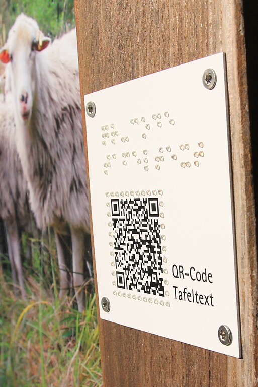 QR-Code mit Brailleschrift an einer Informationstafel am Heide-Lehrpfad an der Ohligser Heide (2022)