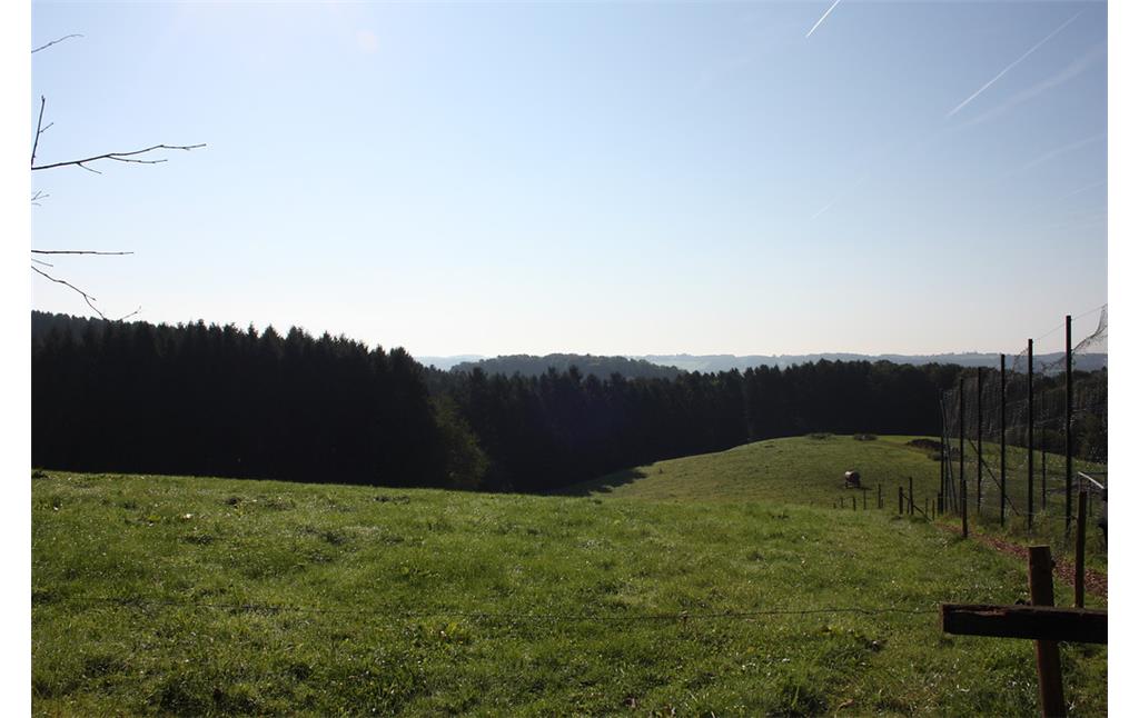 Rodungsinsel Hohkeppel: Blick (Am Weißen Pferdchen) über die angrenzenden Grünflächen bis zum Waldrand in Richtung Overath. (2017)