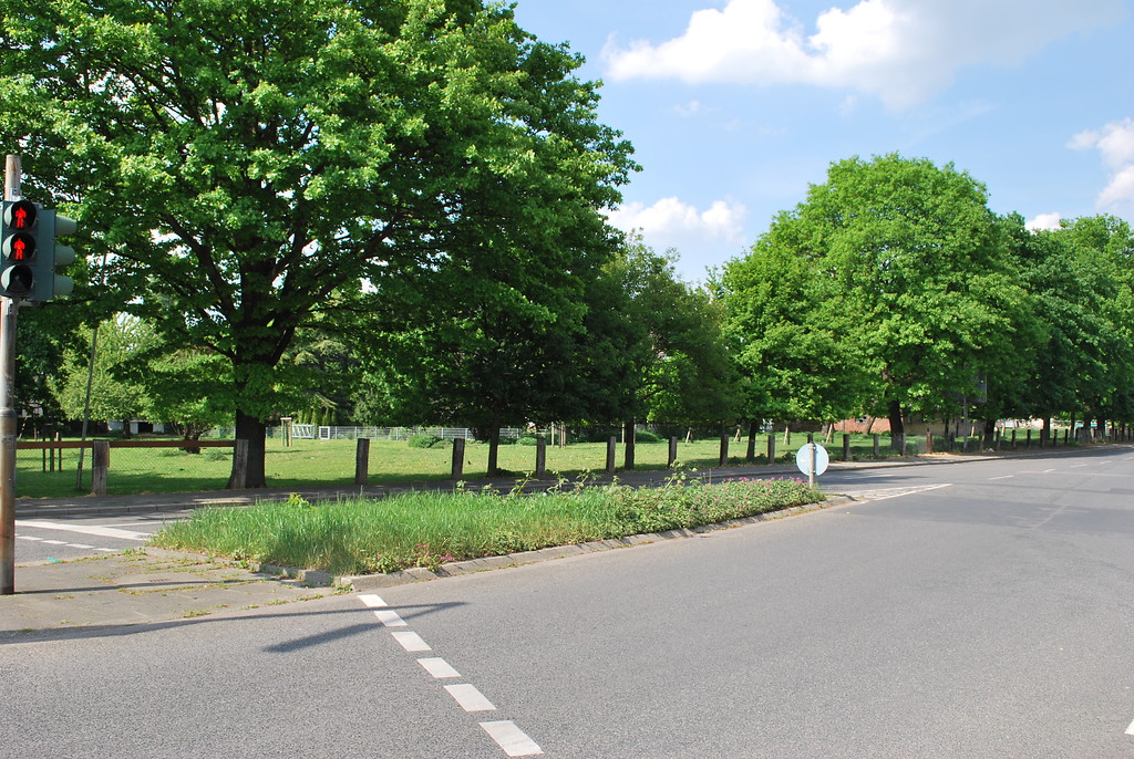 An der Kreuzung Chorbuschstraße/Weilerstraße hat sich eine historische Freifläche erhalten, die von großen Altbäumen gesäumt wird. Sie wird als Weide genutzt (2014).