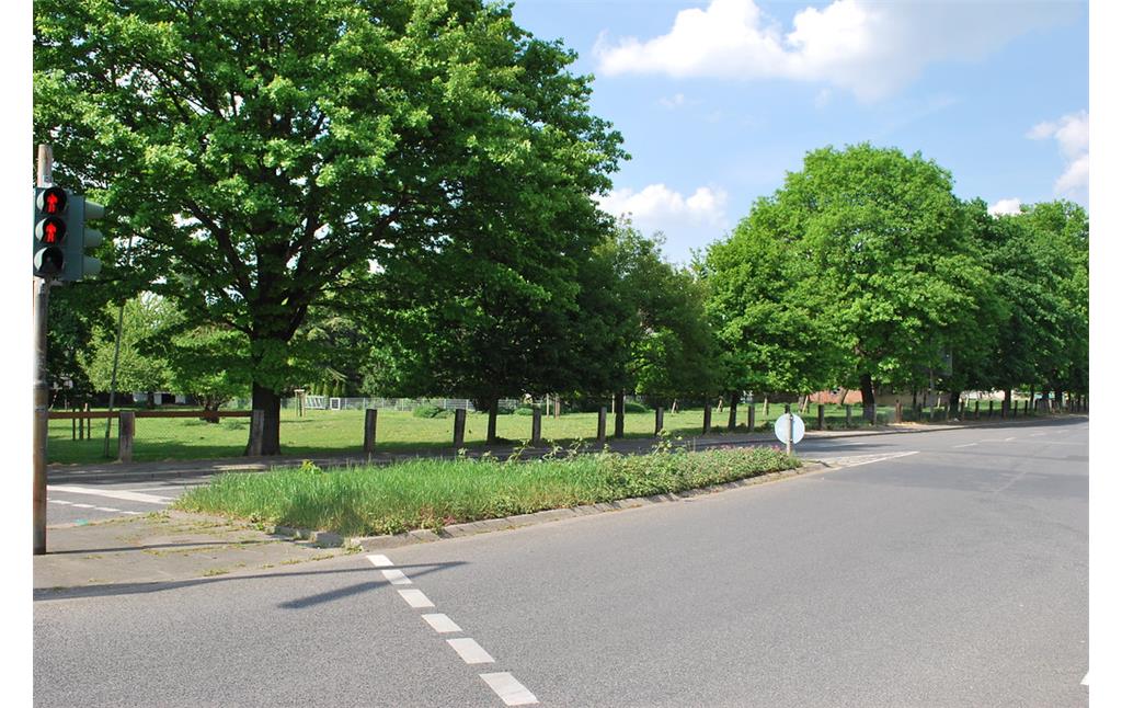 An der Kreuzung Chorbuschstraße/Weilerstraße hat sich eine historische Freifläche erhalten, die von großen Altbäumen gesäumt wird. Sie wird als Weide genutzt (2014).