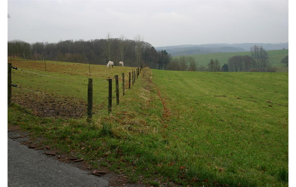 Wall entlang einer Geländeparzelle bei Finkensiepen (2008)