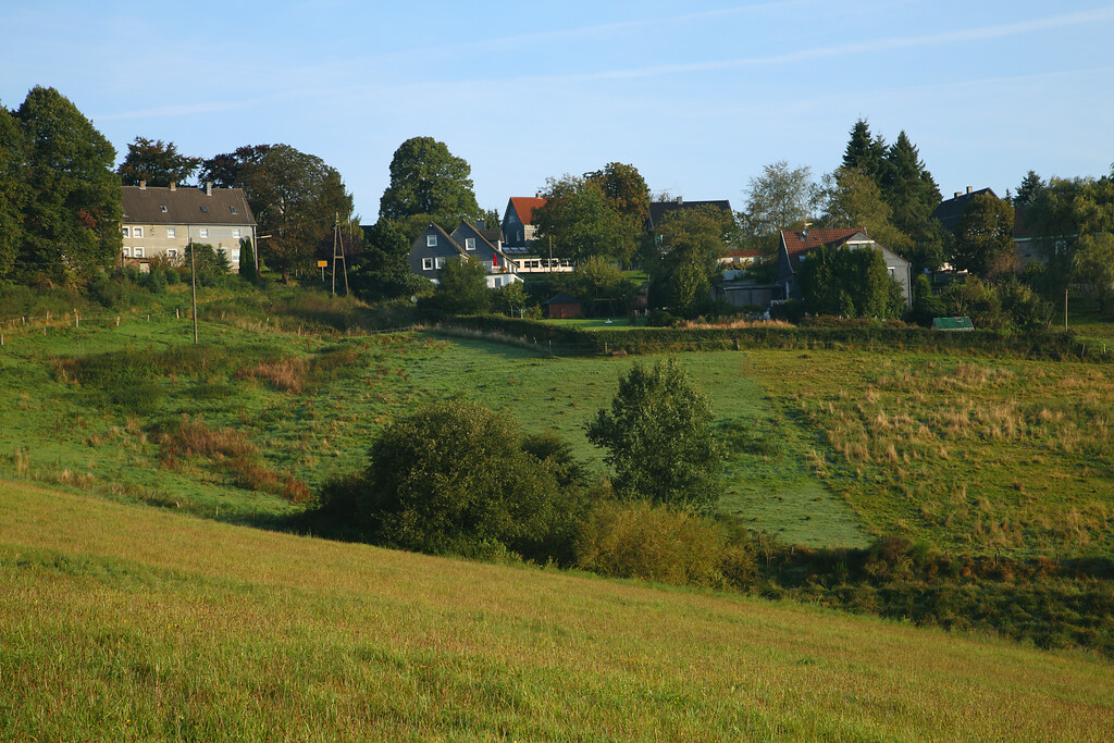 Südlicher Ortsrand von Oberdahl (2008)