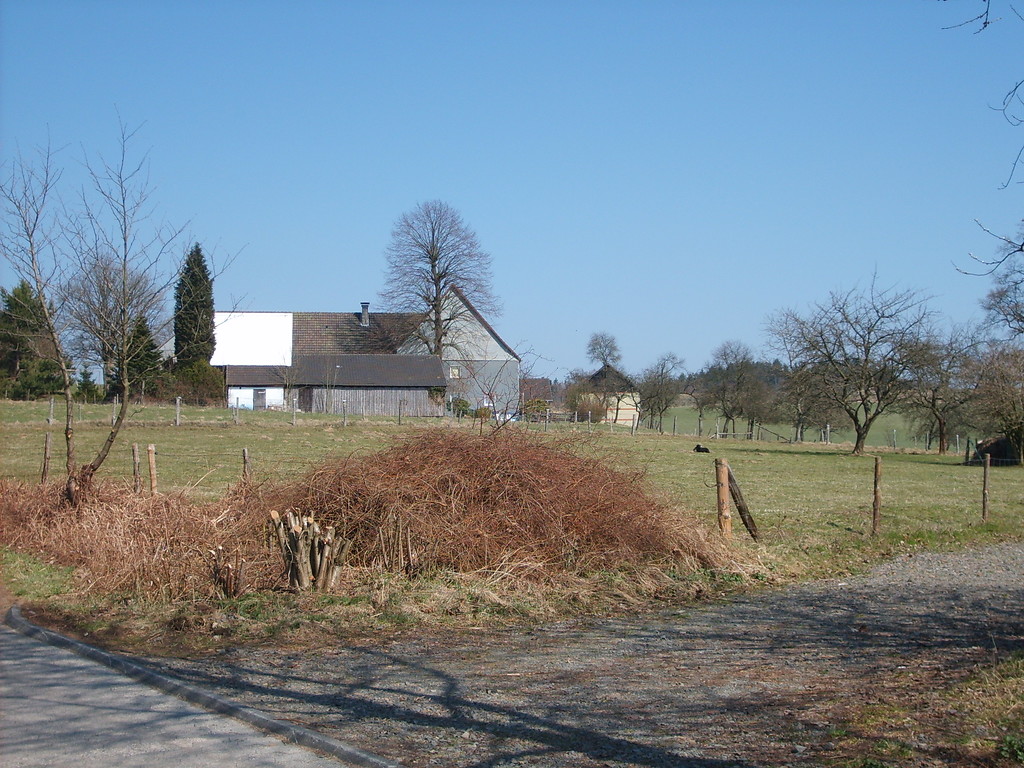 Blick auf Griemeringhausen (ehemals Hintergriemeringhausen) mit historischem Hof, Weideflächen und Obstwiese (2009)