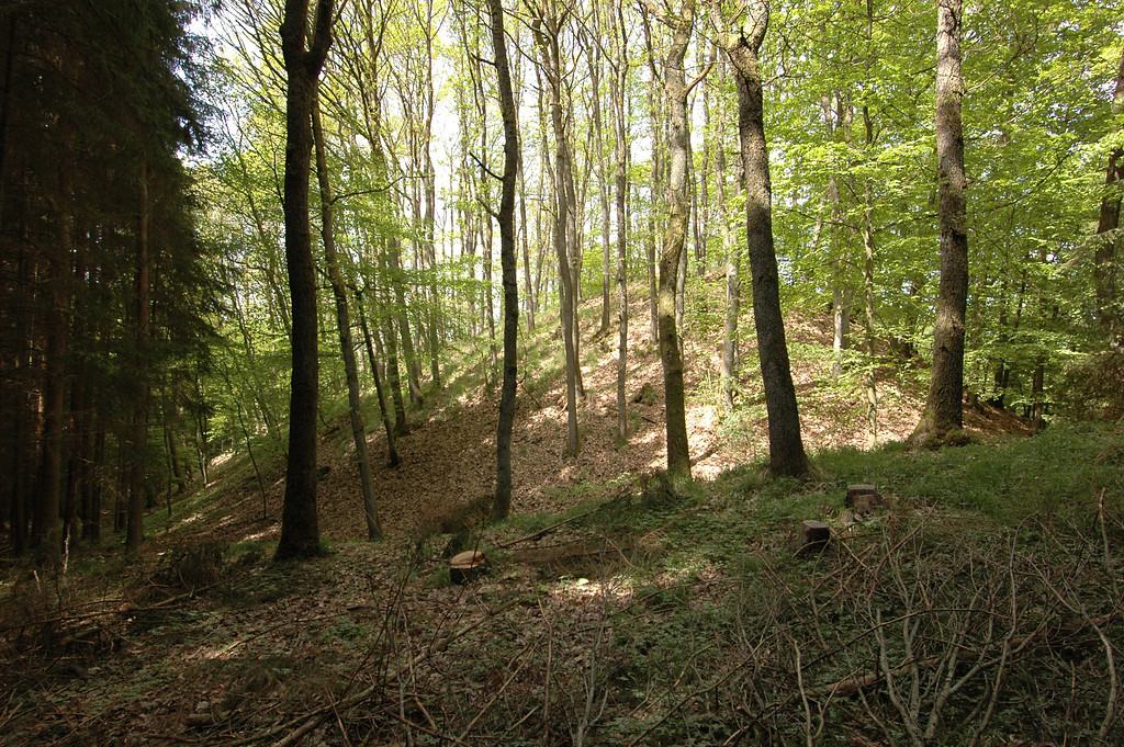 Burgwüstung "Altenberg" bei Hellenthal-Wollenberg (2006)