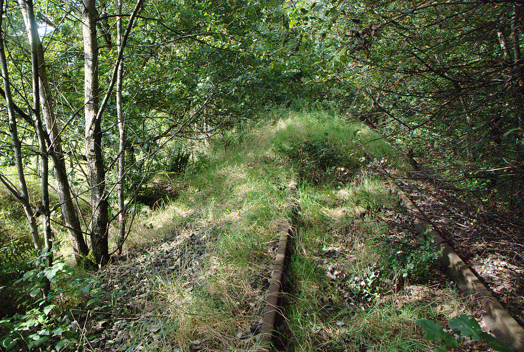 Schienen der ehemaligen Bahnlinie Wipperfürth - Lennep bei Niederdorp (2007)