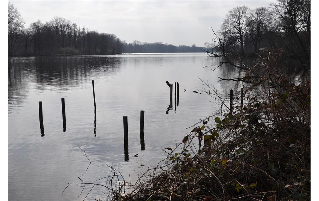 Reste alter Angelstege am Nordwestufer des De Wittsees (2021)