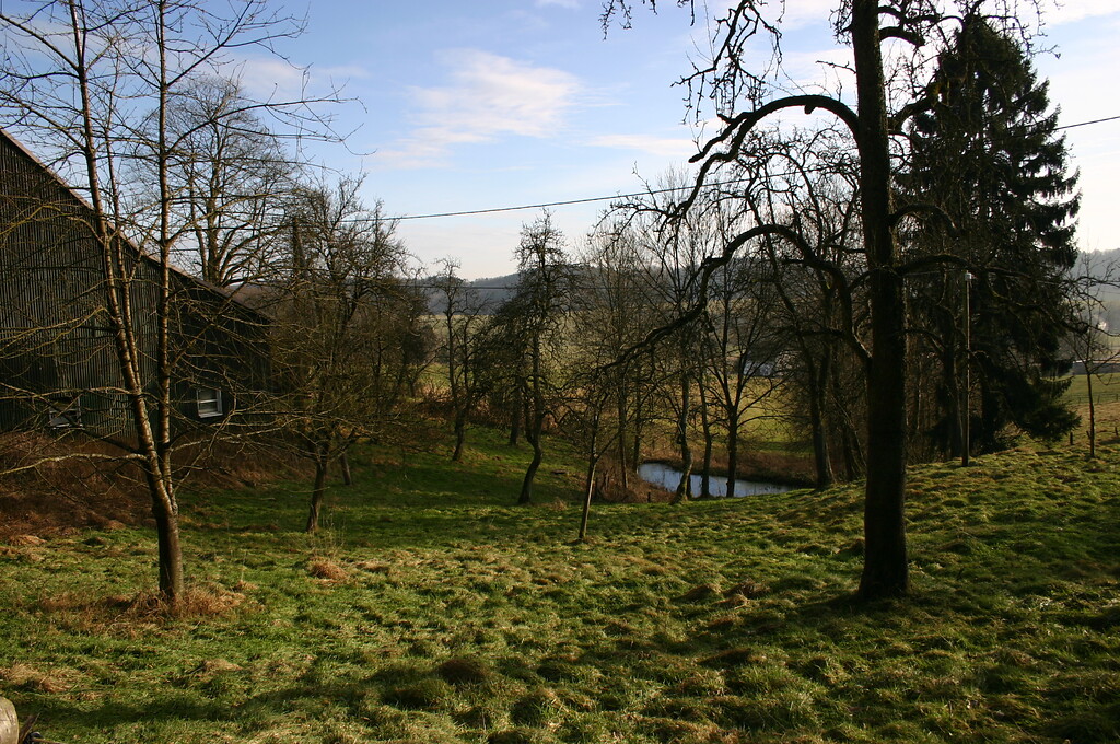 Obstwiese und Teich in Niederhönde (2008)