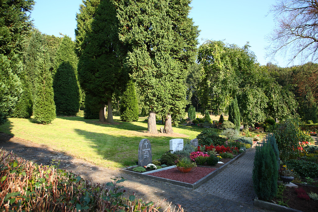 Alter Baumbestand und Grabreihen auf dem Friedhof von Remlingrade (2008)