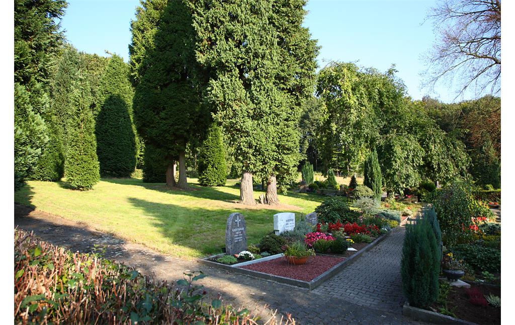 Alter Baumbestand und Grabreihen auf dem Friedhof von Remlingrade (2008)