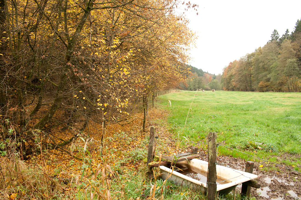 Bereich, an dem der Obergraben des Nordhellerhammers von der Leppe abgzweigt (2013)