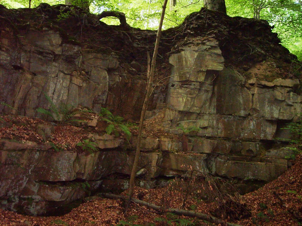 Abbaukante des Steinbruches in Gimborn (2009)