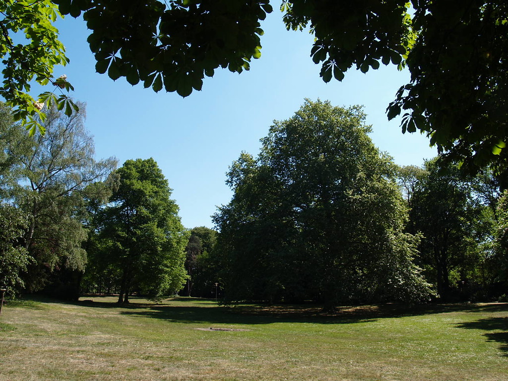 Blick auf einen zum Teil ausgetrockneten Rasen mit einzelnen großen Laubbäumen im Südpark in Köln-Marienburg.