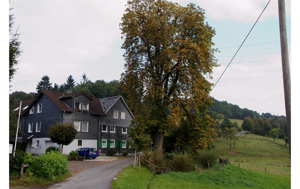 Modernisierte Hofstelle mit Kastanie und Obstbaumweide in Sohl (2008)