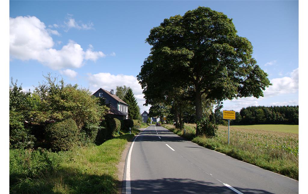 Ortseingang des Weilers Dreibäumen bei Hückeswagen mit Straßenschild und Baumreihe (2008).