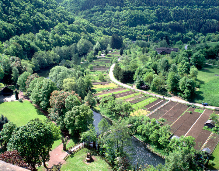 Gärten in der Ruraue bei Heimbach, Kreis Düren (2001)