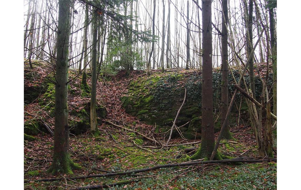 Steinbruch Steinbach 1: Randlicher Abbaustoß des langgezogenen Abbaugrabens mit einer Höhe von etwa 4 Metern. (2018)