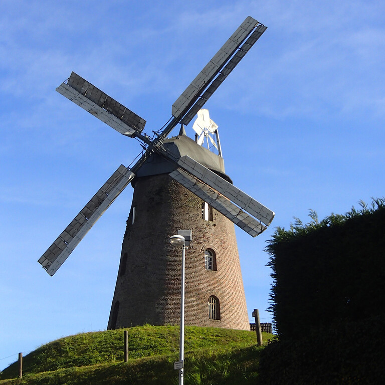 Stommelner Windmühle  (2014)