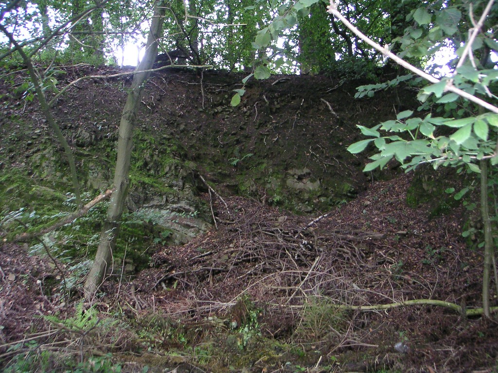 Steinbruch an der Hangberger Mühle (2007)