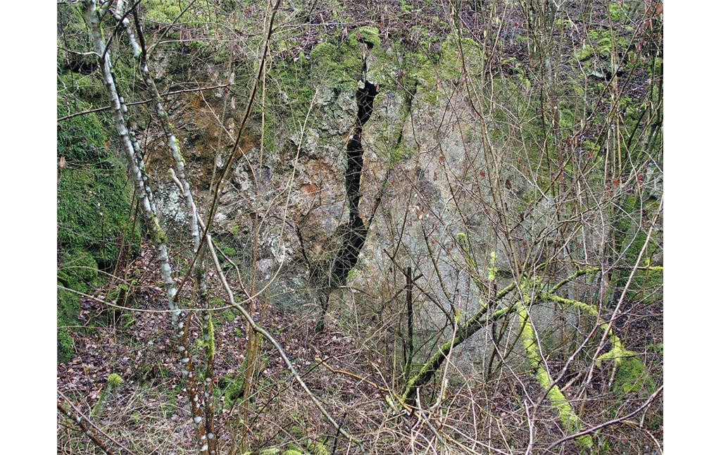 Steinbruchwand im Unica-Bruch in Villmar (2018)